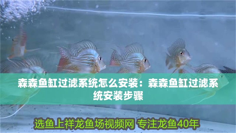 森森魚缸過濾系統怎么安裝：森森魚缸過濾系統安裝步驟