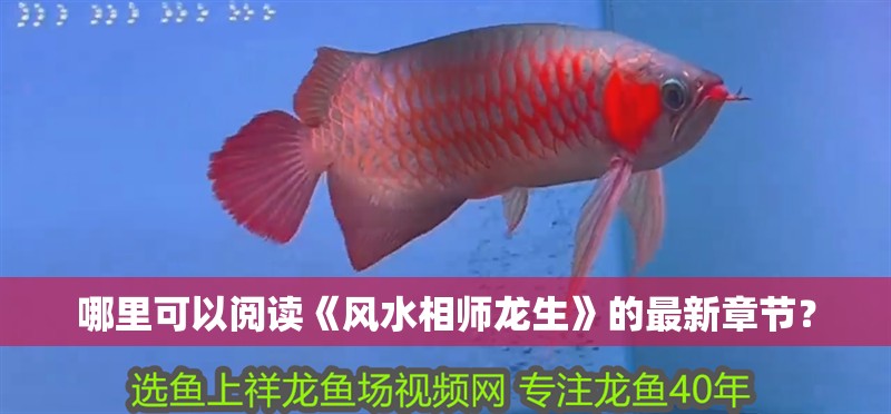 哪里可以閱讀《風(fēng)水相師龍生》的最新章節(jié)？