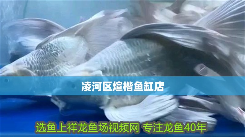 凌河區煊楷魚缸店 凌河區煊楷魚缸店 全國水族館企業名錄