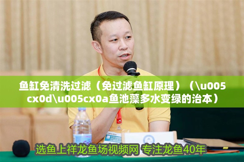 魚缸免清洗過濾（免過濾魚缸原理）（\u005cx0d\u005cx0a魚池藻多水變綠的治本） 魚缸免清洗過濾（免過濾魚缸原理）（\u005cx0d\u005cx0a魚池藻多水變綠的治本） 魚缸百科