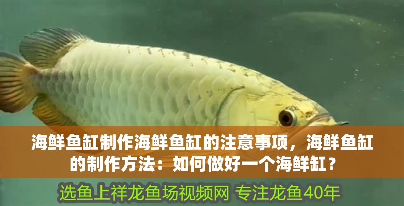 海鮮魚缸制作海鮮魚缸的注意事項(xiàng)，海鮮魚缸的制作方法：如何做好一個(gè)海鮮缸？