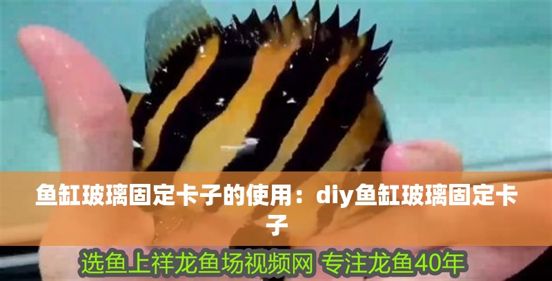 魚缸玻璃固定卡子的使用：diy魚缸玻璃固定卡子