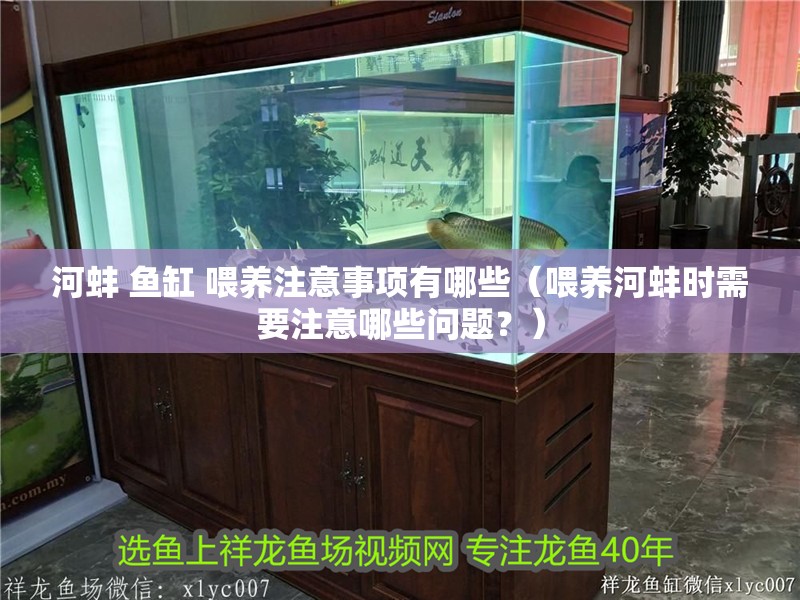 河蚌 魚缸 喂養注意事項有哪些（喂養河蚌時需要注意哪些問題？）