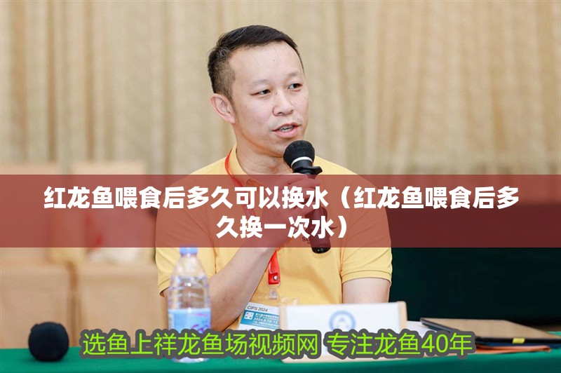 魚缸過濾器選購指南:自制魚缸過濾器魚缸上置過濾器對于養(yǎng)魚愛好者的必備知識 紅龍魚喂食后多久可以換水(紅龍魚喂食后多久換一次水) 龍魚百科 紅龍魚喂食后多久可以換水(紅龍魚喂食后多久換一次水) 紅龍魚喂食后多久可以換水(紅龍魚喂食后多久換一次水) 龍魚百科