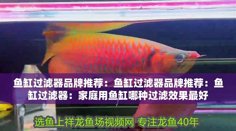 魚缸過濾器品牌推薦：魚缸過濾器品牌推薦：魚缸過濾器：家庭用魚缸哪種過濾效果最好