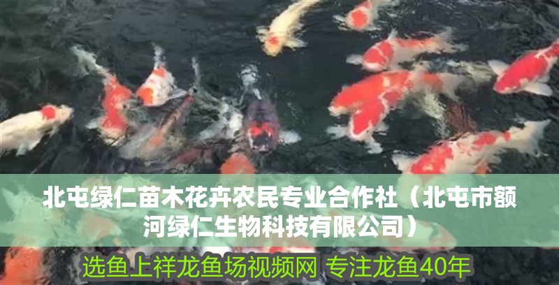 北屯綠仁苗木花卉農民專業合作社（北屯市額河綠仁生物科技有限公司）