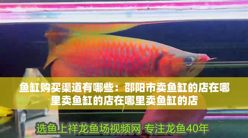 魚缸購買渠道有哪些：邵陽市賣魚缸的店在哪里賣魚缸的店在哪里賣魚缸的店