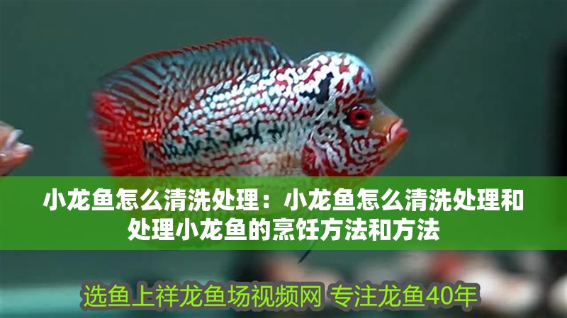 小龍魚怎么清洗處理：小龍魚怎么清洗處理和處理小龍魚的烹飪方法和方法