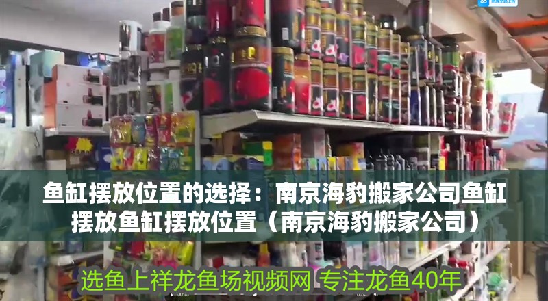魚缸擺放位置的選擇：南京海豹搬家公司魚缸擺放魚缸擺放位置（南京海豹搬家公司） 魚缸擺放位置的選擇：南京海豹搬家公司魚缸擺放魚缸擺放位置（南京海豹搬家公司） 魚缸百科