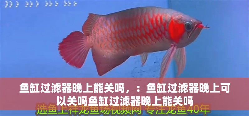 魚缸用增氧泵價(jià)格是多少:魚缸增氧機(jī)-xtrac增氧機(jī)-xtrac增氧機(jī) 魚缸過濾器晚上能關(guān)嗎,:魚缸過濾器晚上可以關(guān)嗎魚缸過濾器晚上能關(guān)嗎 魚缸百科 魚缸過濾器晚上能關(guān)嗎,:魚缸過濾器晚上可以關(guān)嗎魚缸過濾器晚上能關(guān)嗎 魚缸過濾器晚上能關(guān)嗎,:魚缸過濾器晚上可以關(guān)嗎魚缸過濾器晚上能關(guān)嗎 魚缸百科