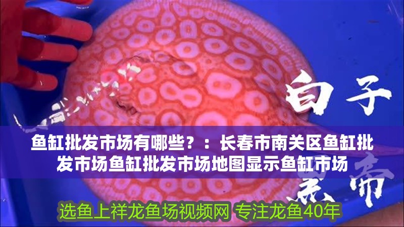 魚缸批發市場有哪些？：長春市南關區魚缸批發市場魚缸批發市場地圖顯示魚缸市場