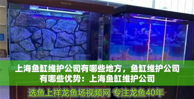 上海魚缸維護公司有哪些地方，魚缸維護公司有哪些優勢：上海魚缸維護公司 上海魚缸維護公司有哪些地方，魚缸維護公司有哪些優勢：上海魚缸維護公司 魚缸百科