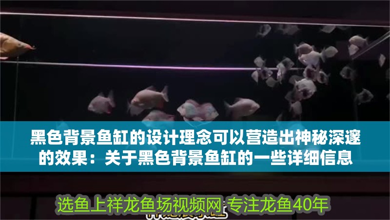 黑色背景魚缸的設計理念可以營造出神秘深邃的效果：關于黑色背景魚缸的一些詳細信息
