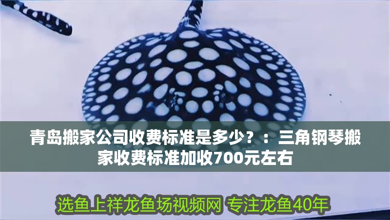 青島搬家公司收費標準是多少？：三角鋼琴搬家收費標準加收700元左右
