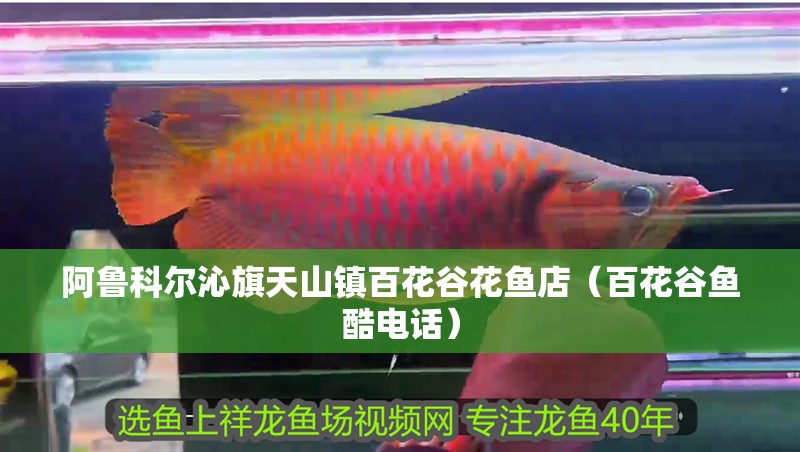 阿魯科爾沁旗<strong><mark>天山</mark></strong>鎮百花谷花魚店（百花谷魚酷電話）