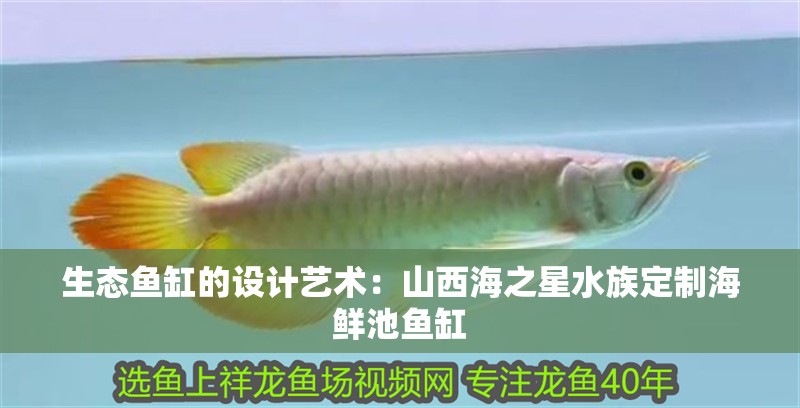 生態魚缸的設計藝術：山西海之星水族定制海鮮池魚缸 生態魚缸的設計藝術：山西海之星水族定制海鮮池魚缸 魚缸百科