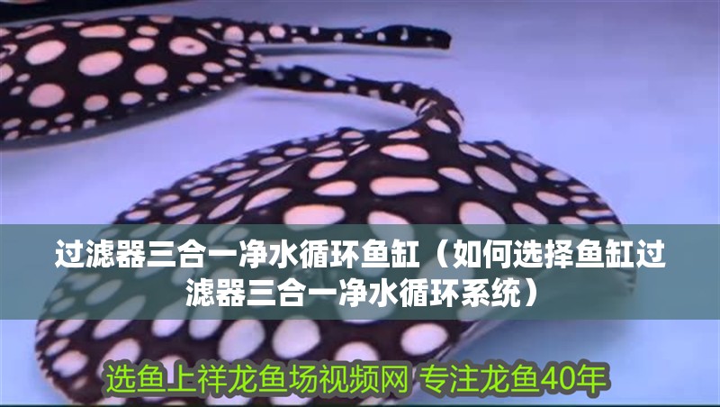 過濾器三合一凈水循環魚缸（如何選擇魚缸過濾器三合一凈水循環系統）