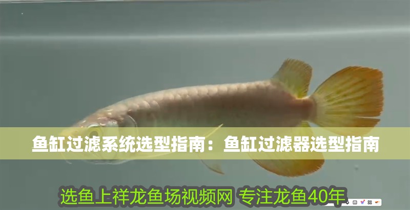 魚缸過濾系統(tǒng)選型指南：魚缸過濾器選型指南