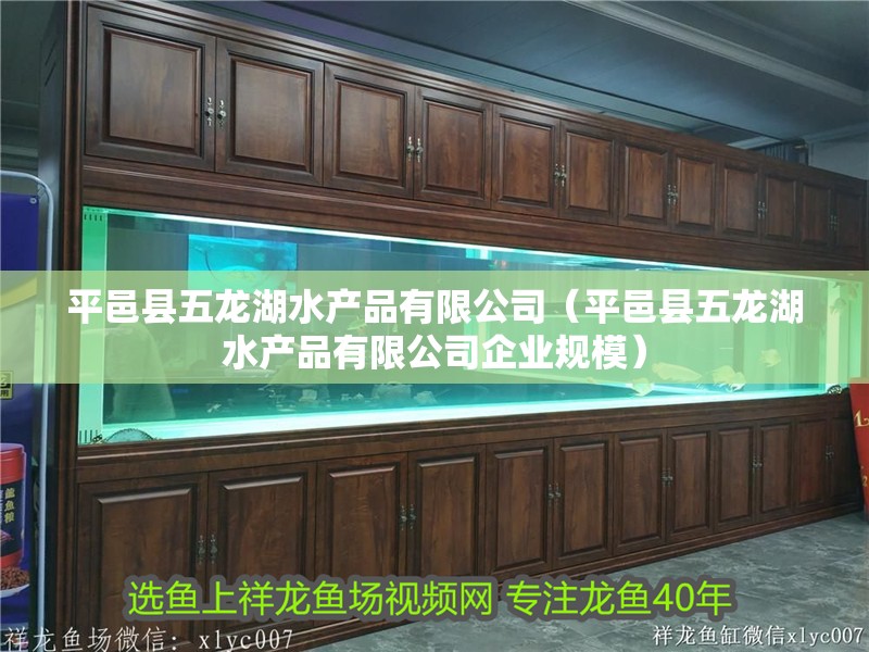 平邑縣五龍湖水產品有限公司（平邑縣五龍湖水產品有限公司企業規模）