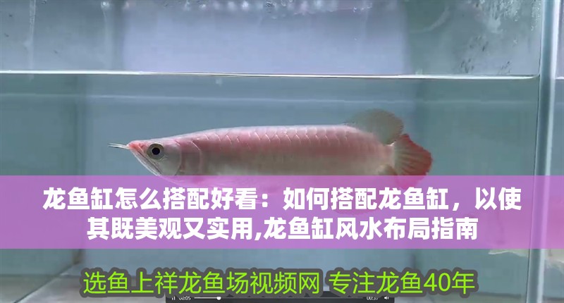 龍魚缸怎么搭配好看：如何搭配龍魚缸，以使其既美觀又實用,龍魚缸風水布局指南