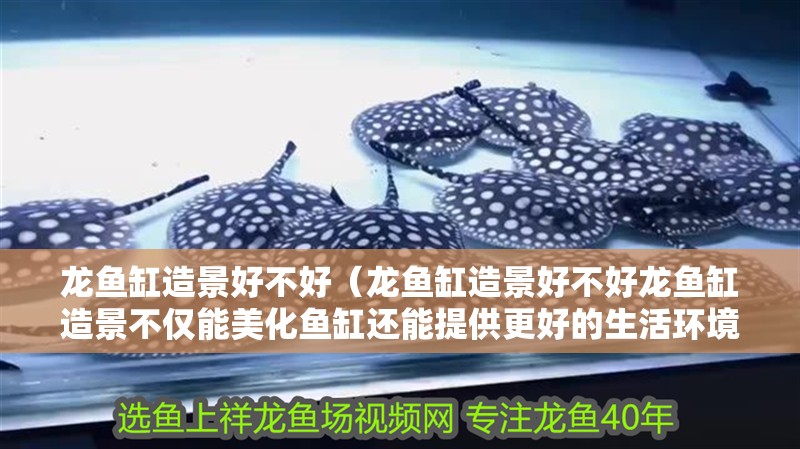 龍魚缸造景好不好（龍魚缸造景好不好龍魚缸造景不僅能美化魚缸還能提供更好的生活環(huán)境）