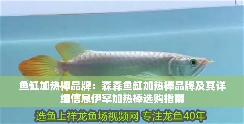 魚缸加熱棒品牌：森森魚缸加熱棒品牌及其詳細信息伊罕加熱棒選購指南 魚缸加熱棒品牌：森森魚缸加熱棒品牌及其詳細信息伊罕加熱棒選購指南 魚缸百科
