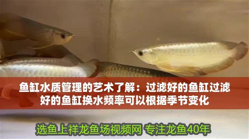 魚缸水質管理的藝術了解：過濾好的魚缸過濾好的魚缸換水頻率可以根據季節變化 魚缸水質管理的藝術了解：過濾好的魚缸過濾好的魚缸換水頻率可以根據季節變化 魚缸百科