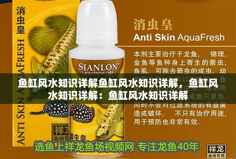 魚缸風水知識詳解魚缸風水知識詳解，魚缸風水知識詳解：魚缸風水知識詳解