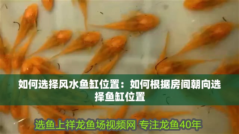 如何選擇風(fēng)水魚缸位置：如何根據(jù)房間朝向選擇魚缸位置