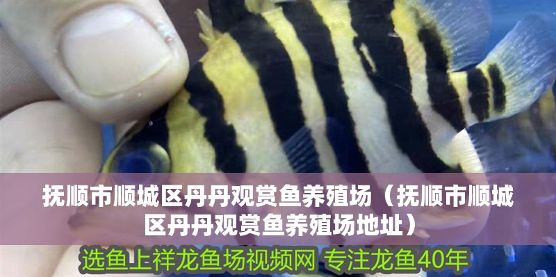 撫順市順城區丹丹觀賞魚養殖場（撫順市順城區丹丹觀賞魚養殖場地址） 撫順市順城區丹丹觀賞魚養殖場（撫順市順城區丹丹觀賞魚養殖場地址） 全國水族館企業名錄