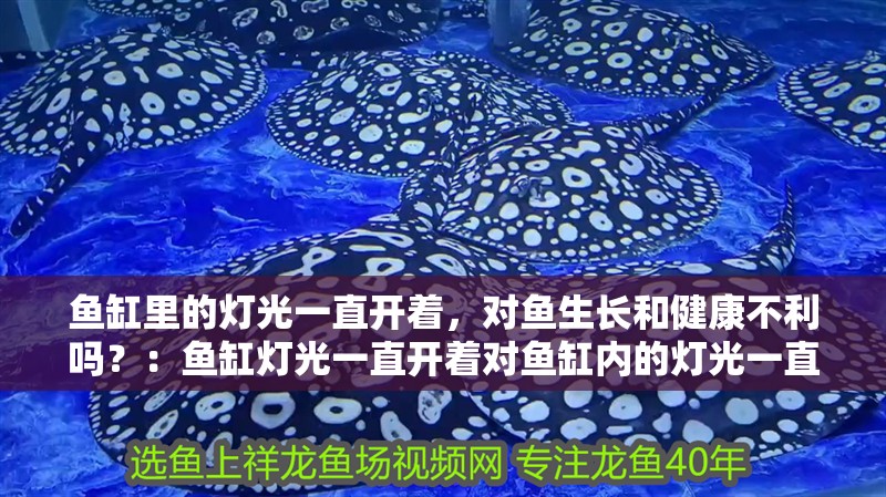 魚缸里的燈光一直開(kāi)著，對(duì)魚生長(zhǎng)和健康不利嗎？：魚缸燈光一直開(kāi)著對(duì)魚缸內(nèi)的燈光一直開(kāi)著對(duì)魚生長(zhǎng)不利