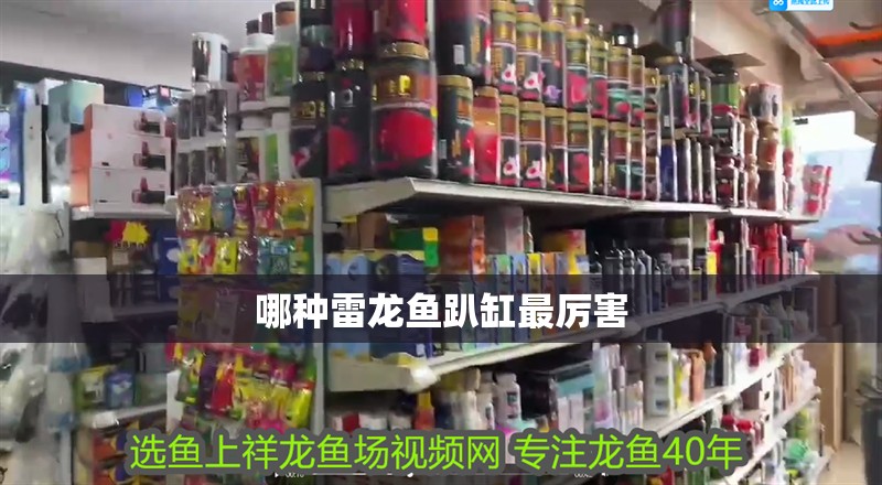 魚缸過濾器選購指南:自制魚缸過濾器魚缸上置過濾器對于養魚愛好者的必備知識 哪種雷龍魚趴缸最厲害 龍魚論壇 哪種雷龍魚趴缸最厲害 哪種雷龍魚趴缸最厲害 龍魚論壇