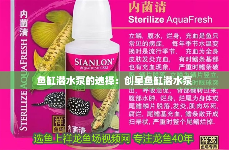 魚缸潛水泵的選擇：創(chuàng)星魚缸潛水泵