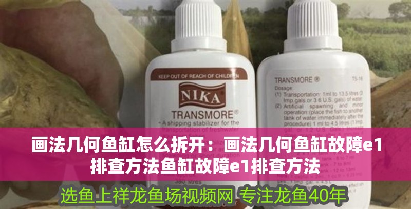 畫法幾何魚缸怎么拆開：畫法幾何魚缸故障e1排查方法魚缸故障e1排查方法 畫法幾何魚缸怎么拆開：畫法幾何魚缸故障e1排查方法魚缸故障e1排查方法 魚缸百科