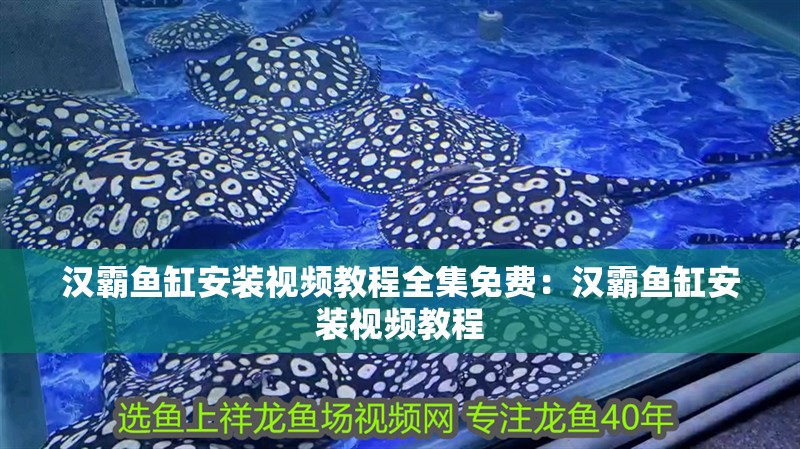 漢霸魚缸安裝視頻教程全集免費：漢霸魚缸安裝視頻教程