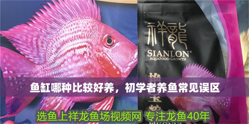 魚缸哪種比較好養，初學者養魚常見誤區