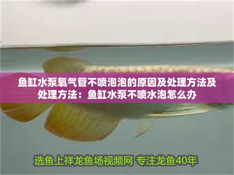魚缸水泵氧氣管不噴泡泡的原因及處理方法及處理方法：魚缸水泵不噴水泡怎么辦