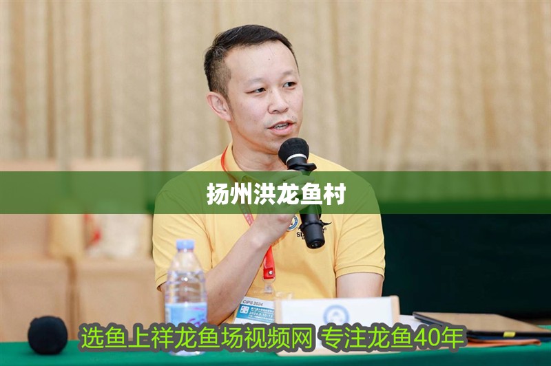 揚州洪龍魚村