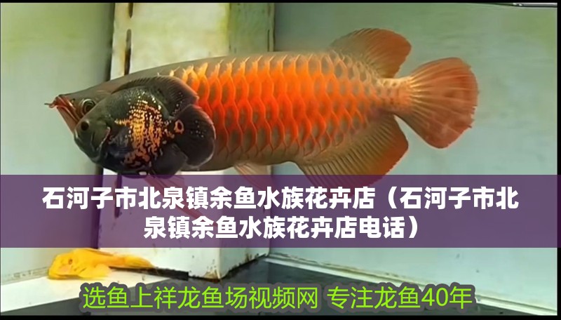 石河子市北泉鎮(zhèn)余魚(yú)水族花卉店（石河子市北泉鎮(zhèn)余魚(yú)水族花卉店電話） 石河子市北泉鎮(zhèn)余魚(yú)水族花卉店（石河子市北泉鎮(zhèn)余魚(yú)水族花卉店電話） 全國(guó)水族館企業(yè)名錄
