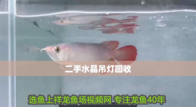 二手水晶吊燈回收