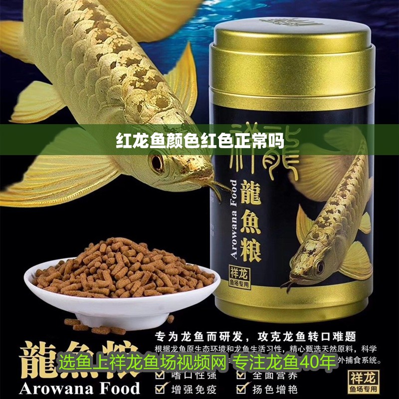 紅龍魚顏色紅色正常嗎