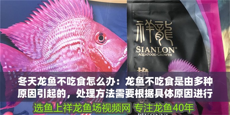 冬天龍魚不吃食怎么辦：龍魚不吃食是由多種原因引起的，處理方法需要根據具體原因進行
