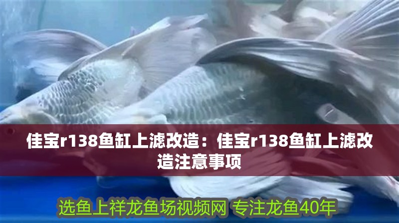 佳寶r138魚缸上濾改造：佳寶r138魚缸上濾改造注意事項