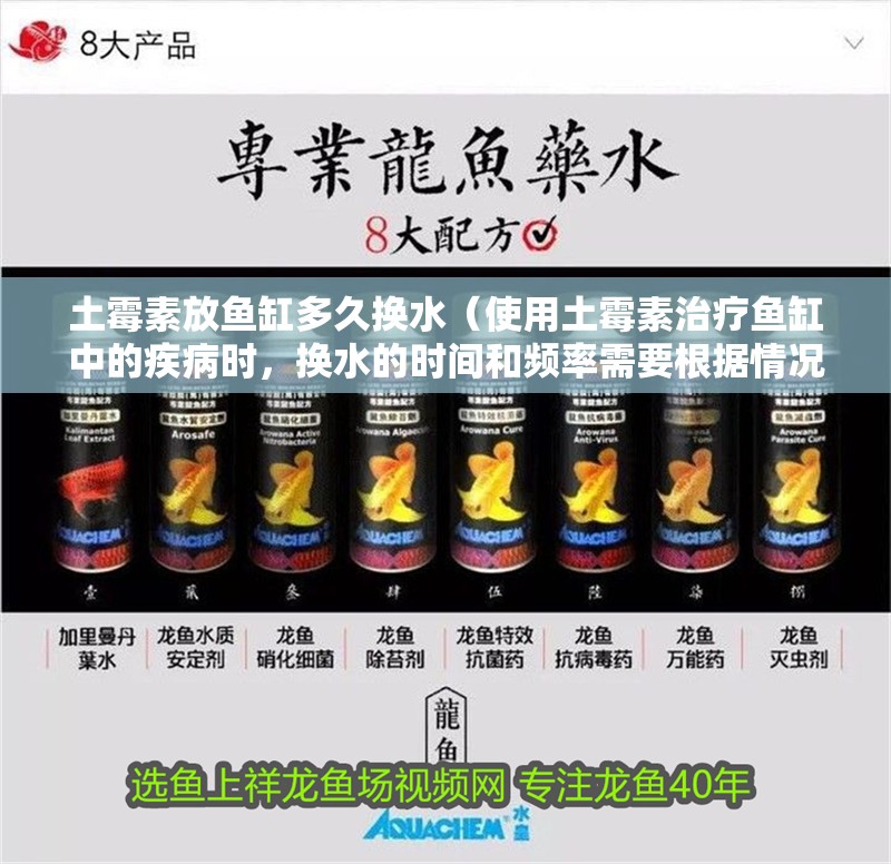 土霉素放魚缸多久換水（使用土霉素治療魚缸中的疾病時，換水的時間和頻率需要根據情況靈活調整） 土霉素放魚缸多久換水（使用土霉素治療魚缸中的疾病時，換水的時間和頻率需要根據情況靈活調整） 魚缸百科