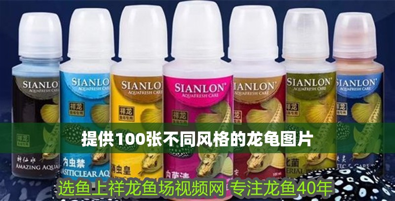 提供100張不同風格的龍龜圖片