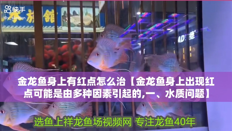 金龍魚身上有紅點怎么治【金龍魚身上出現紅點可能是由多種因素引起的,一、水質問題】
