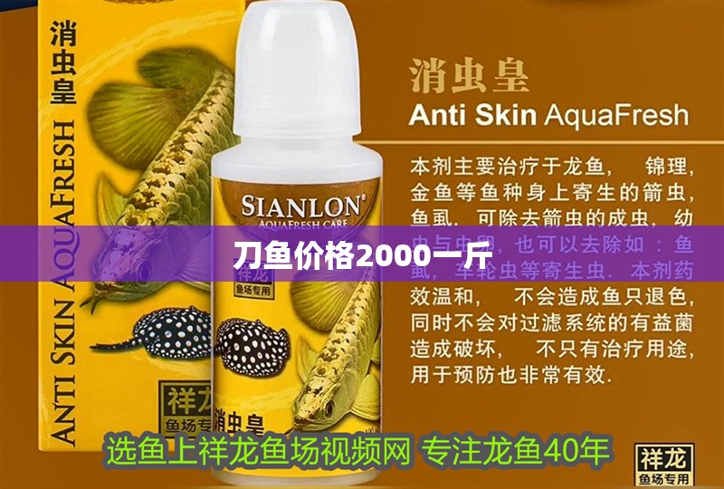 刀魚價格2000一斤