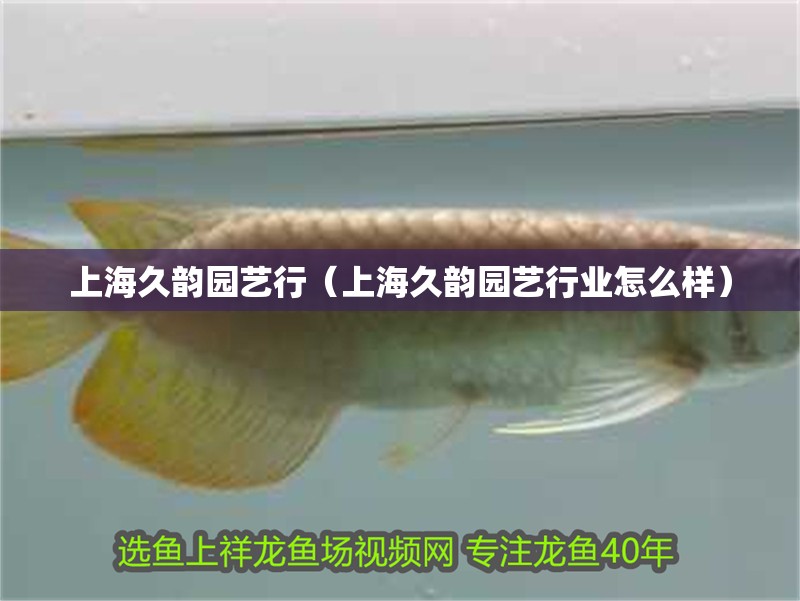 上海久韻園藝行（上海久韻園藝行業怎么樣）