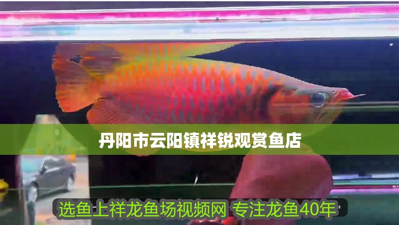 丹陽市云陽鎮祥銳觀賞魚店
