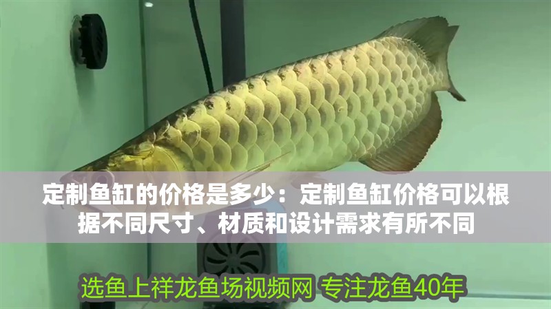 定制魚缸的價格是多少：定制魚缸價格可以根據不同尺寸、材質和設計需求有所不同